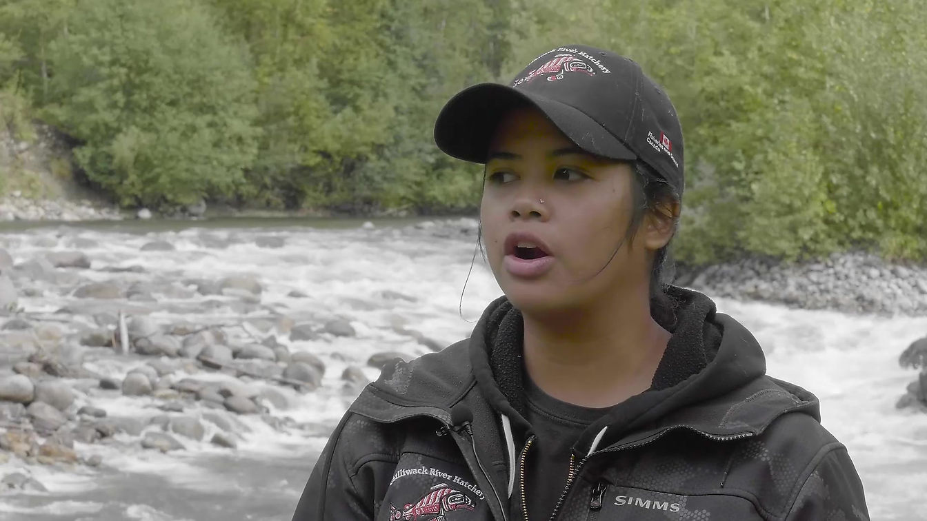 Environmental Impacts on Salmon in British Columbia